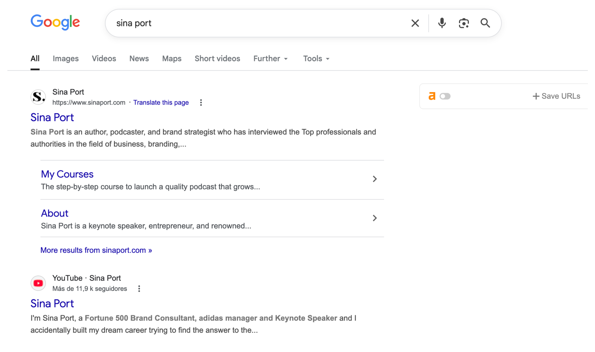 Sina Port: How we built a Google Knowledge Panel and strengthened search authority 2 Before: no Google Knowledge Panel for her name
