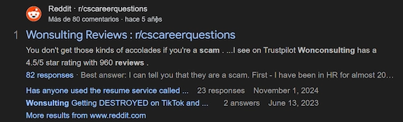 Wonsulting: How we removed a defamatory Reddit thread and restored sales confidence 2 Before: Wonsulting search results with the negative Reddit thread ranking on page one